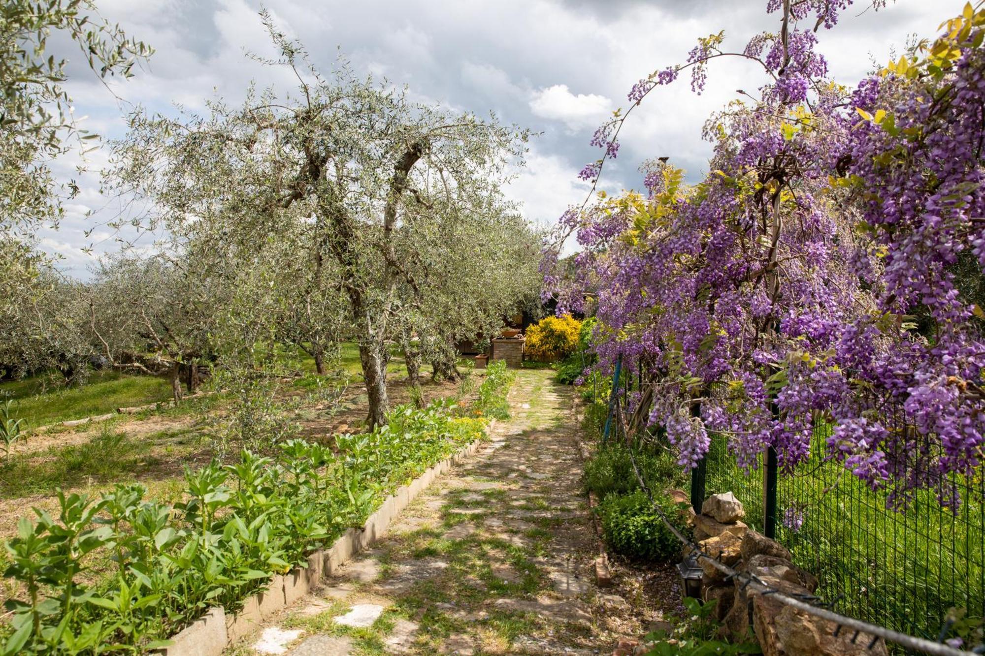 Ferienwohnung Il Poggio Dell'Eremita Rigomagno Exterior foto