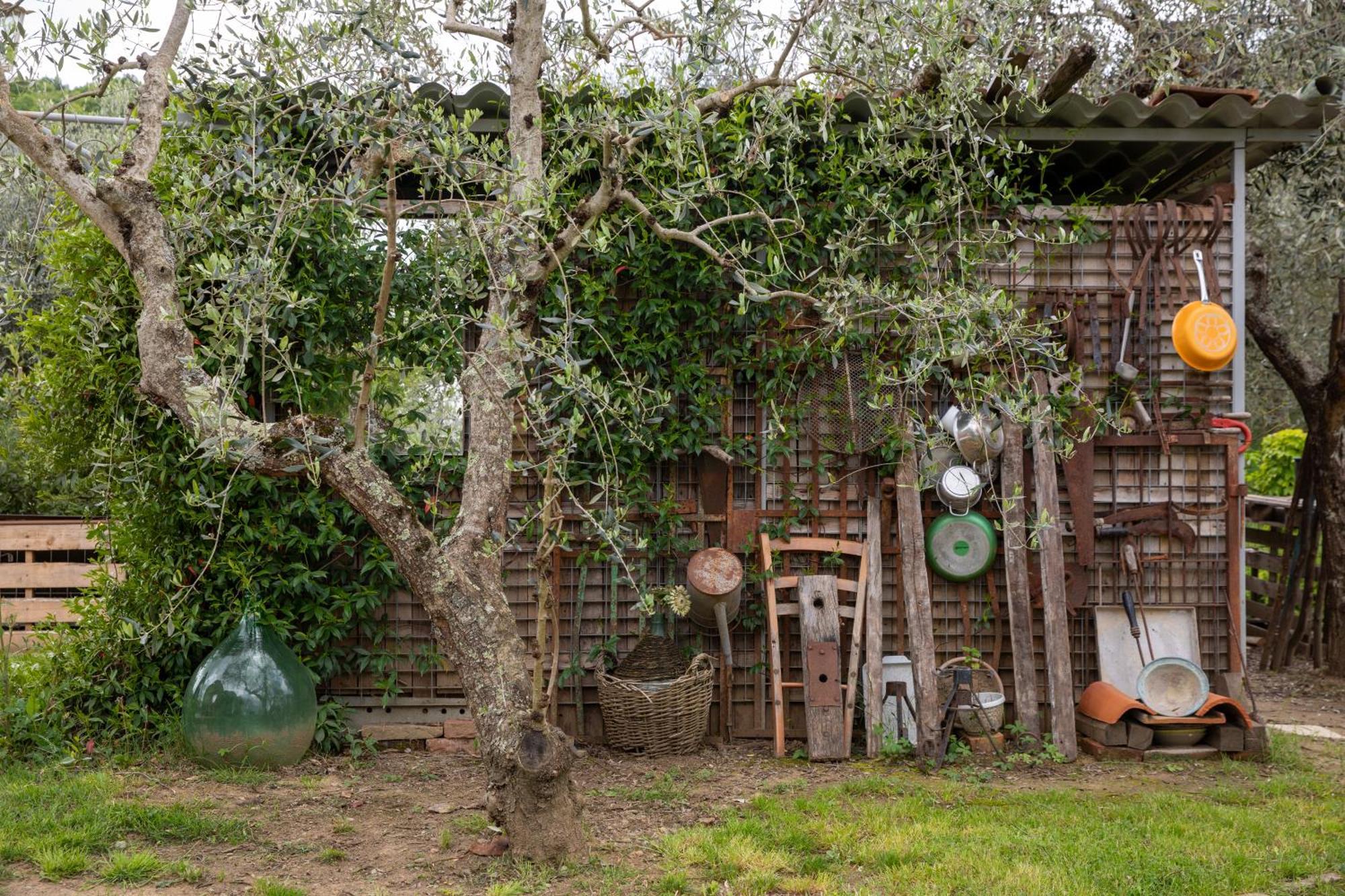 Ferienwohnung Il Poggio Dell'Eremita Rigomagno Exterior foto